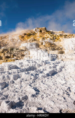 Mammoth Hot Springs Travertin Terrassen im Yellowstone National Park mit Dampf und Schritt Stockfoto