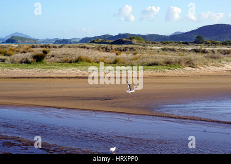 Meer und Sand in Whangarei, Neuseeland Stockfoto