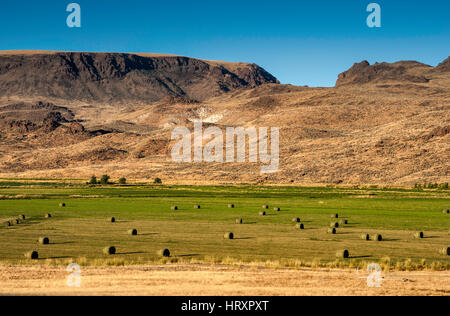 Bewässerte Felder auf der Ranch in hohe Wüste Region und Beistand Creek Valley, Oregon, USA Stockfoto