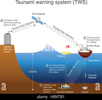 Ein Tsunami-Warnsystem (TWS) wird verwendet, um Tsunamis im Voraus erkennen und Warnungen zum Verlust von Menschenleben und Schäden zu verhindern. Es besteht aus zwei gleich Stock Vektor
