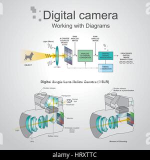 Eine digitale Spiegelreflexkamera ist eine Digitalkamera, die die Optik und die Mechanismen der eine Spiegelreflexkamera mit einem digitalen Imag kombiniert Stock Vektor