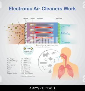 Ein Luftreiniger ist ein Gerät, das entfernt Verunreinigungen aus der Luft in einem Raum. Diese Geräte werden häufig als vorteilhaft zu Allergie Suff vermarktet Stock Vektor