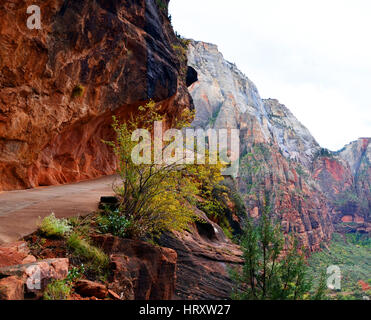 Schmalen Pfad mit Serpentinen an Angels Landing Trail, Zion NP, Utah, USA Stockfoto