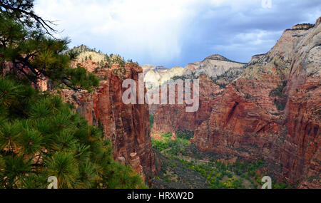 Übersehen von Spitze von Angels Landing Trail, Zion Nationalpark, Utah, USA Stockfoto