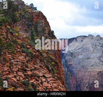 Steilen schmalen Grat auf den letzten Teil an die Spitze von Angels Landing Zion USA (gesehen vom Scout Lookout) Stockfoto
