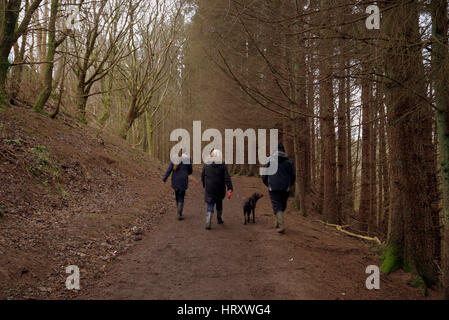 Chatelherault Country Park ist ein Landschaftspark in Hamilton, South Lanarkshire, Schottland, Stockfoto