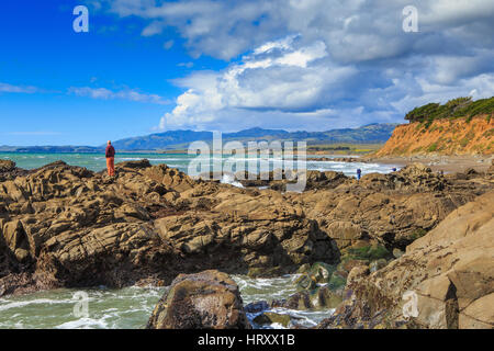 Leffingwell Landing State Park an der Küste von Cambria in Zentral-Kalifornien ist Teil des Hearst San Simeon State Park Stockfoto