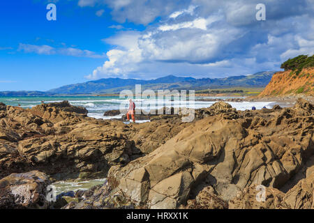 Leffingwell Landung in Zentralkalifornien Cambria ist Teil des Hearst San Simeon State Park Stockfoto