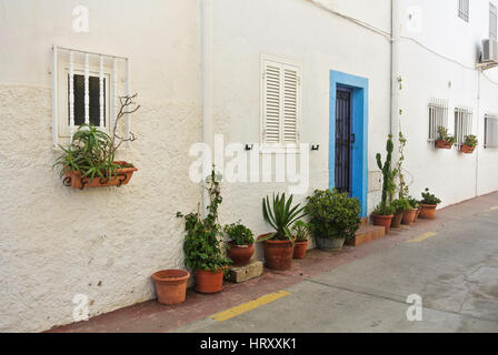 A weiße Haus und stand in der Nähe es Töpfe mit Blumen und anderen Pflanzen, eine enge in kleinen Stadt Cabo de Gata, Andalusien, Spanien. Stockfoto