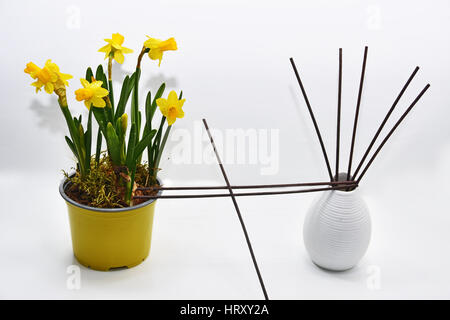 Aromatische sticks für Haus in weißer Keramik-Vase mit Frühlingsblumen. Isoliert auf weiss Stockfoto