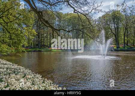 Brunnen am Zierteich in Keukenhof Park, Niederlande. Stockfoto