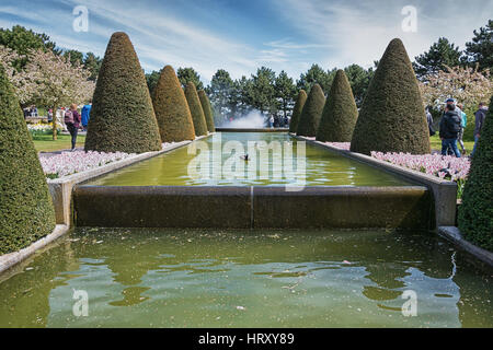 Mehrfarbige Arten von Blumenwiesen im Keukenhof Park, Niederlande. Stockfoto