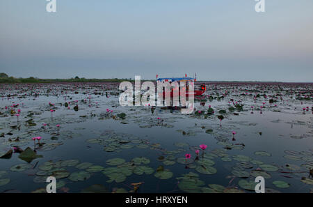 Ausflugsschiff auf Talay Bua Daeng, roter Lotus See außerhalb von Udon Thani, Thailand Stockfoto