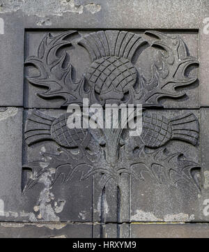 Schottland, Distel Blume in grauen Stein gemeißelten Wappen Stockfoto