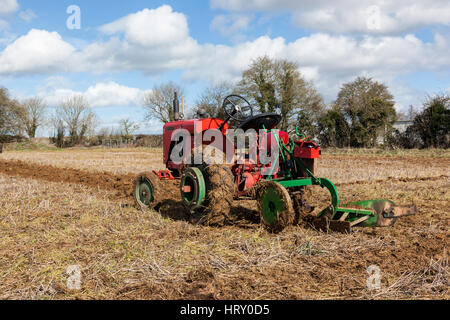 Traktor-Präsident bei einem Pflügen Spiel in Trowbridge, Wiltshire, England, Großbritannien Stockfoto