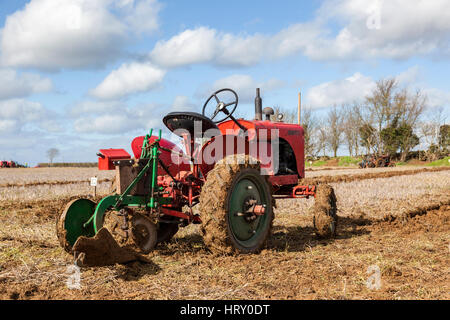 Oldtimer-Traktor President bei einem Match Pflügen statt in Trowbridge, Wiltshire Stockfoto