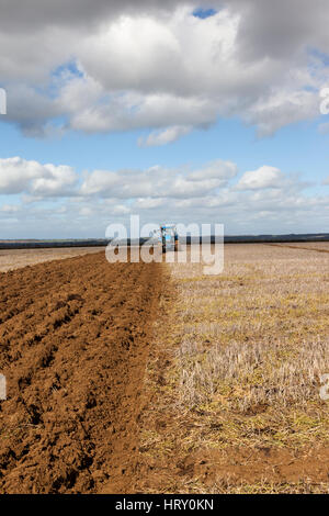 Pflügen Spiel in Trowbridge, Wiltshire, England, Großbritannien Stockfoto