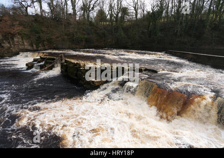 Wasserfall auf dem Fluß Senke in Richmond. North Yorkshire, England, UK Stockfoto