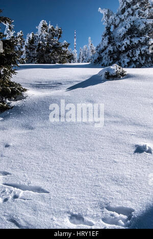 Praded Hill im Winter Gesenke in der Tschechischen Republik mit Schnee, Bäume, Kommunikation und klaren Himmel Stockfoto