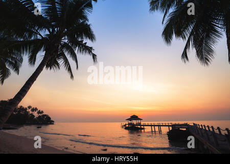 tropischer Strand Hintergrund, schöne Sonnenuntergang Landschaft mit Silhouetten von Palmen, Urlaub Stockfoto