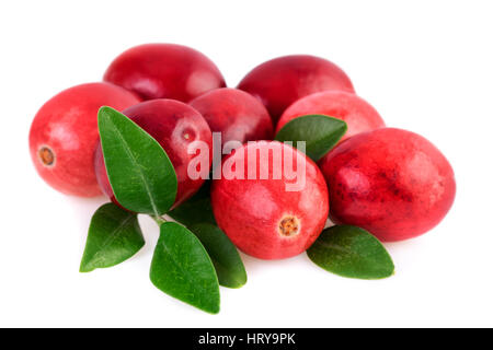 Preiselbeeren Nahaufnahme. Reife Cranberry mit Blättern isoliert auf weiss Stockfoto