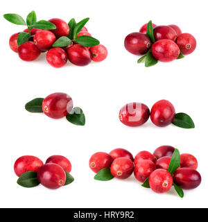 Isolierte Preiselbeeren. Sammlung von frischen Cranberry mit Blatt isoliert auf weiss Stockfoto