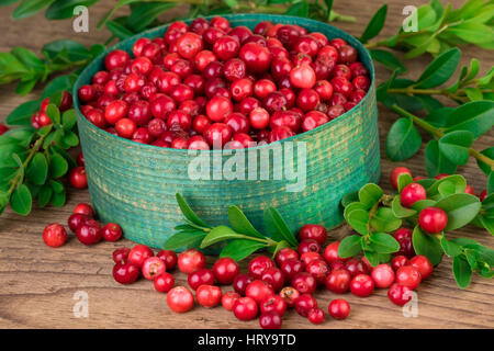 Preiselbeeren Nahaufnahme. Grünen Korb mit frischen Preiselbeeren Preiselbeeren auf alten hölzernen Hintergrund Stockfoto