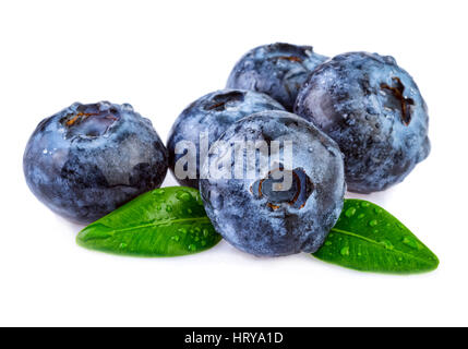 frische Nass Heidelbeeren isoliert auf weißem Hintergrund Stockfoto