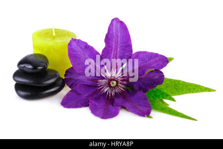 helle Blume mit Spa-Stein und grüne Kerze auf weiß Stockfoto