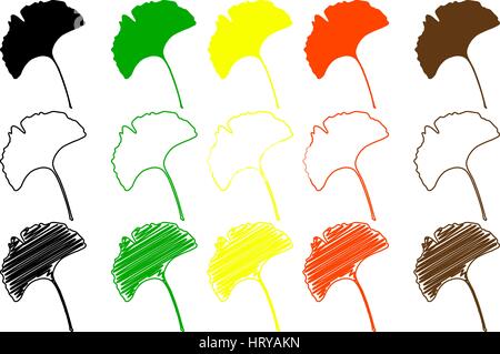 Ginkgo-Blatt - Farbpalette Stock Vektor