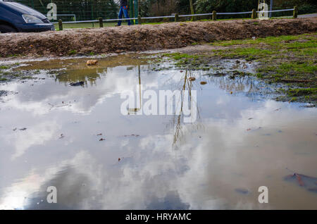 Eine schlammige Pfütze im Prospect Park in Reading in dem Himmel und Umgebung als Spiegelbild gesehen werden können. Stockfoto