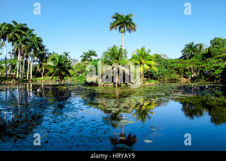 Tropische See in der Nähe Krokodilfarm in Playa Larga in der Schweinebucht, Matanzas, Kuba. Stockfoto