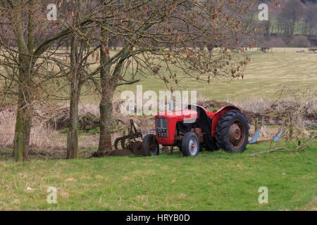 Oldtimer Traktor von Massey Ferguson mit abgestellten Pflug unter Asche Bäume, die noch von den Bauern in Wales, Großbritannien verwendet wird, obwohl sie über 40 Jahre alt. Stockfoto