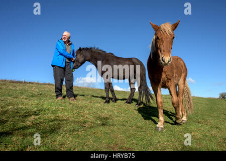 Nigel Higson, eine freiwillige "Lookerer", während eine tägliche Check-up auf sieben New Forest Ponys, die in diesem Monat von Brighton Rat auf Downland in Orde eingeführt Stockfoto