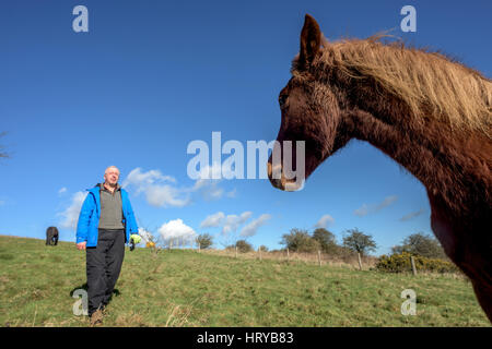 Nigel Higson, eine freiwillige "Lookerer", während eine tägliche Check-up auf sieben New Forest Ponys, die in diesem Monat von Brighton Rat auf Downland in Orde eingeführt Stockfoto