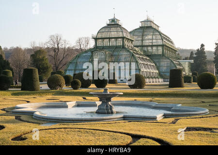 Palmenhaus oder Palmenhaus im Schlosspark Schönbrunn, Wien, Österreich. Stockfoto