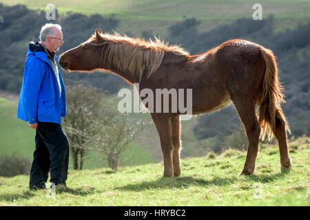 Nigel Higson, eine freiwillige "Lookerer", während eine tägliche Check-up auf sieben New Forest Ponys, die in diesem Monat von Brighton Rat auf Downland in Orde eingeführt Stockfoto