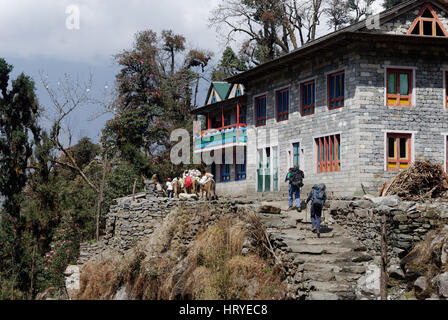 Wanderer auf dem Trail, vorbei an Guast Häuser auf dem Everest Base Camp Trek in der Khumbu-Region in Nepal Stockfoto