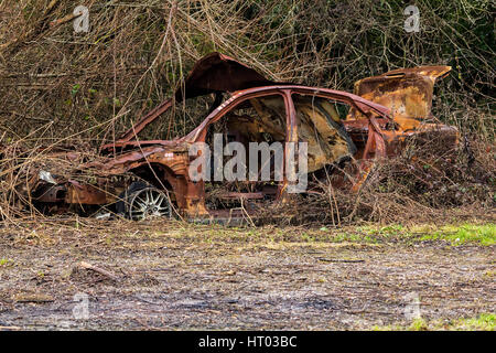 Ausgebrannt gedumpten rostiges Autowrack im Gestrüpp im Eingang zum Felder am Naturgebiet Landschaft überwuchert. Schäden an Dach Boot Motorhaube Türen aus. Stockfoto