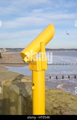 Leuchtend gelbe Meer Teleskop Stockfoto