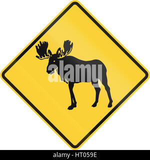 Vereinigten Staaten MUTCD Straßenschild - Warnung vor große wilde Tiere in der Nähe (Elch). Stockfoto