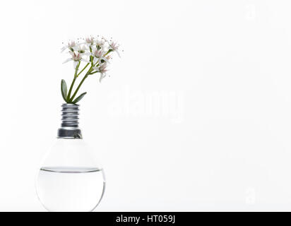 Konzeptionelle Foto für alternative Energie mit einer Glühbirne und Blumen wachsen aus. weißen Hintergrund und freien Platz für Text Stockfoto