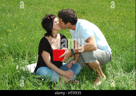 Valentinstag, Paar Kuesst Sich in der Wiese - Happy Valentine, liebe paar Küssen auf Wiese Stockfoto