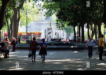 Die Kojoten Brunnen an der Jardin Centenario der Coyoacan, Mexiko Stadt Stockfoto