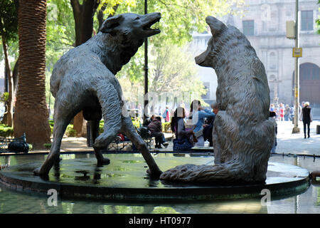 Die Kojoten Brunnen an der Jardin Centenario der Coyoacan, Mexiko Stadt Stockfoto