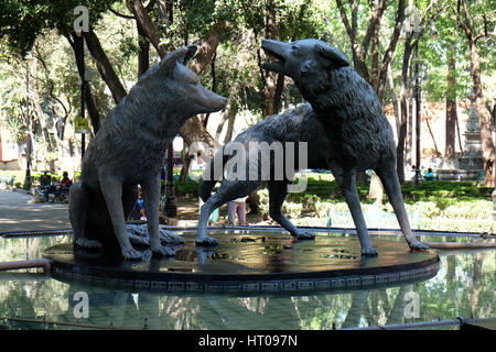 Die Kojoten Brunnen an der Jardin Centenario der Coyoacan, Mexiko Stadt Stockfoto