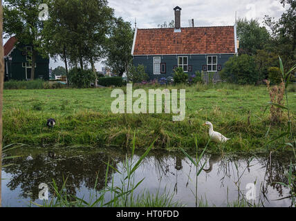 Ein kleines Haus mit einem Schieferdach und einen kleinen Garten mit Enten auf die Kanal-Gärten. Stockfoto