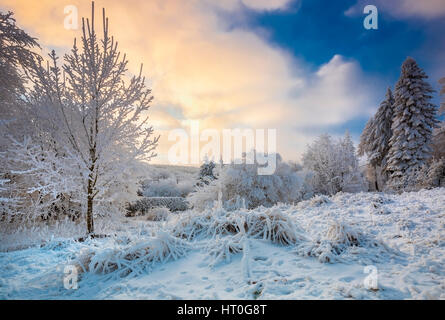 Herrliche Winterlandschaft mit Frost und Schnee bedeckt Bäume in der Natur der Karpaten in der Nähe von Bratislava, Slowakei Stockfoto