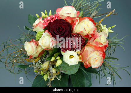 Natur, Pflanzen, Blumen, Blumenstrauss, Frowein, Geburtstagsstrauss, Branchentelefonbuch Rosen, Rote Rose Stockfoto