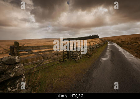 Gateway in Feld auf Dartmoor. Stockfoto
